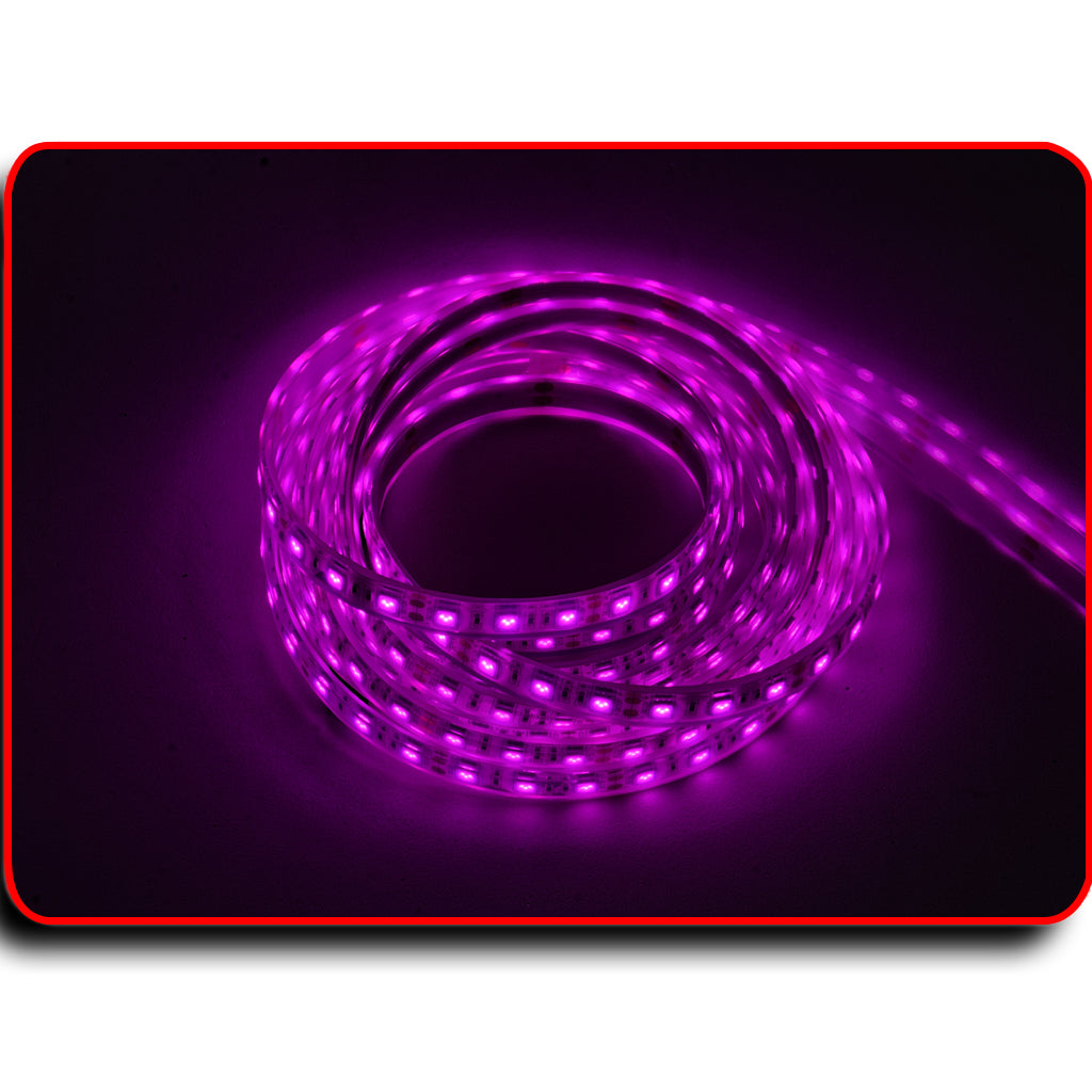 16 ft UV / Blue LED Strip Black Night Fishing Ultraviolet Boat 12v | UK 16 ft UV / Blue LED Strip Black Night Fishing Ultraviolet Boat 12v | UK