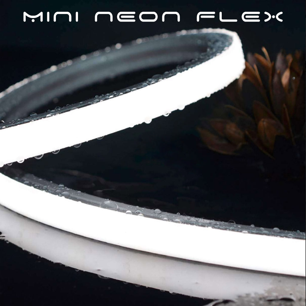 LED Neon Small dot free waterproof Plash