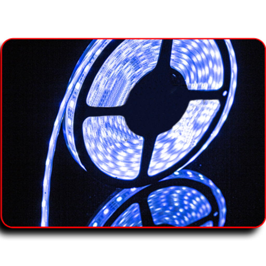 Two Color Flexible Strip Light IP68 Blue and White Boat Marine