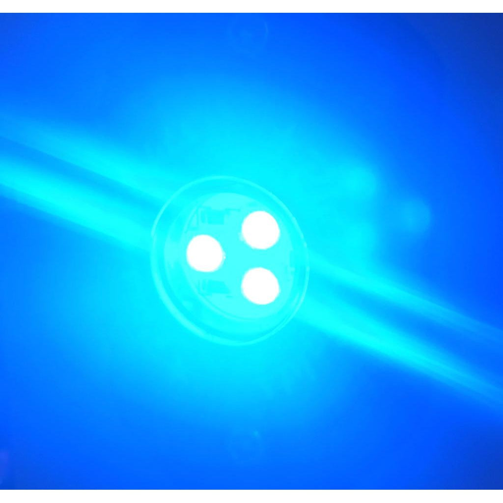 BLUE Rock Lights