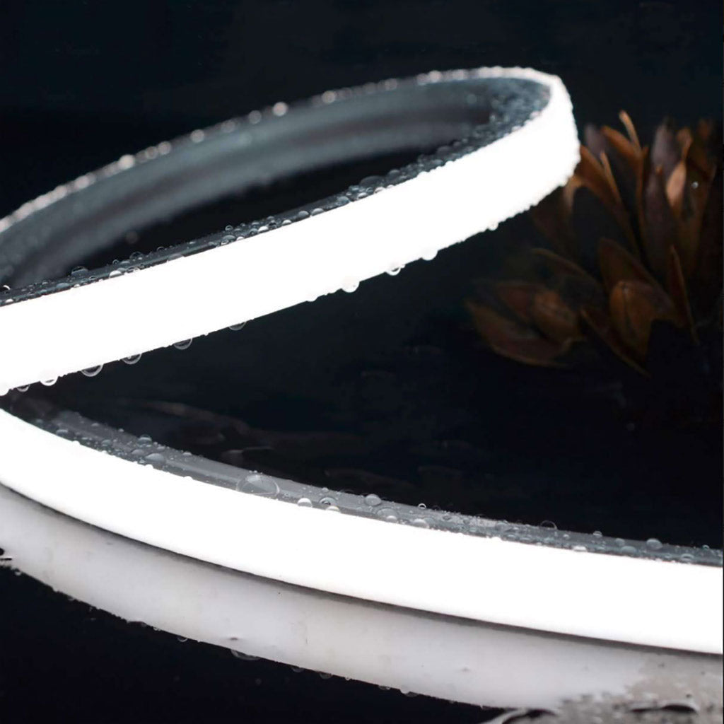 LED Neon Small dot free waterproof Plash