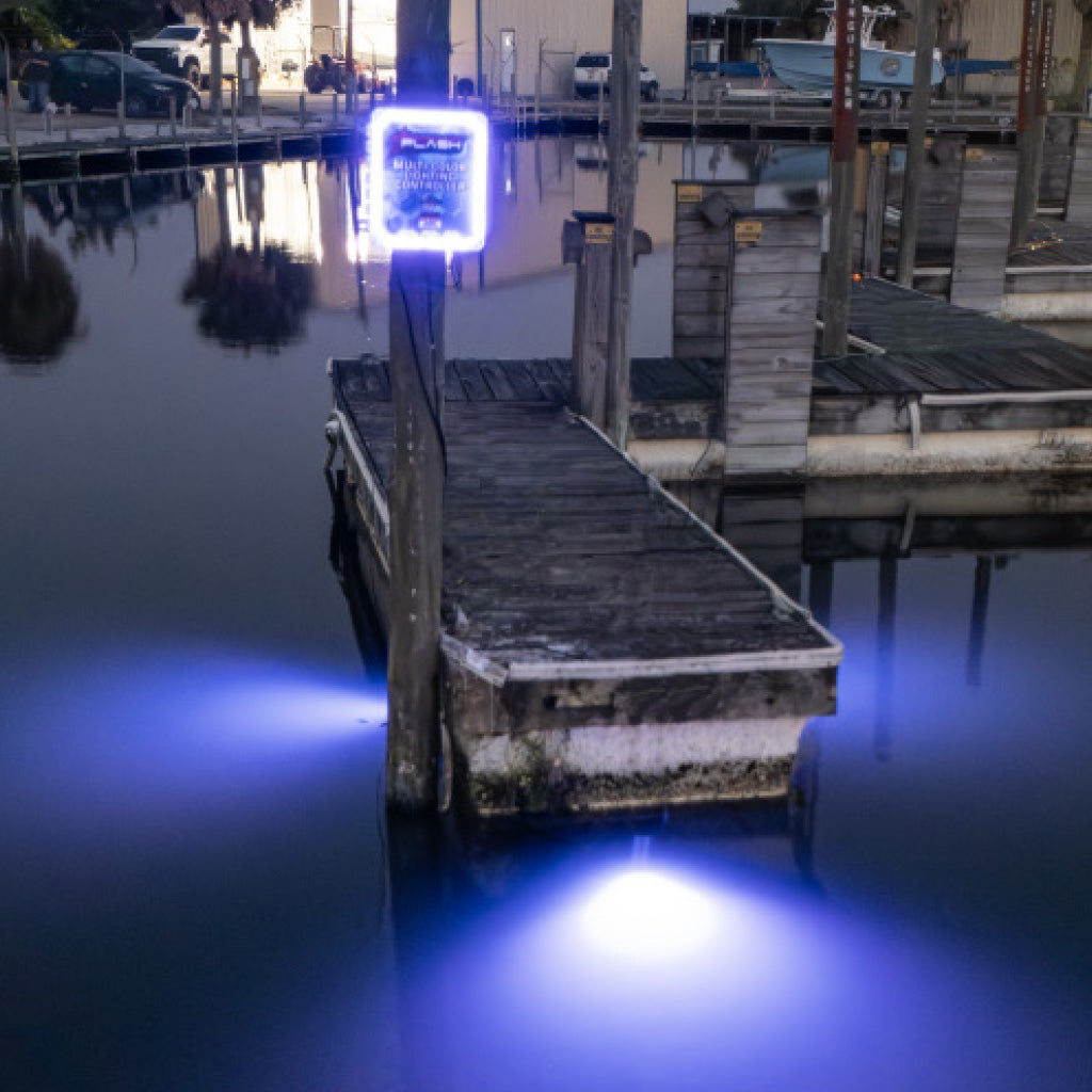 Dock illuminated with Plash Illuminated Control Panel with purple LED Strip light on at dusk.