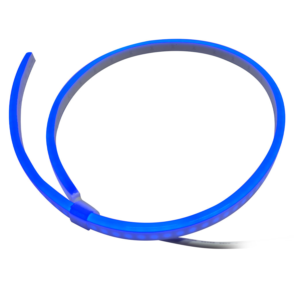A flexible blue LED light strip coiled in a large circle on a plain white background.