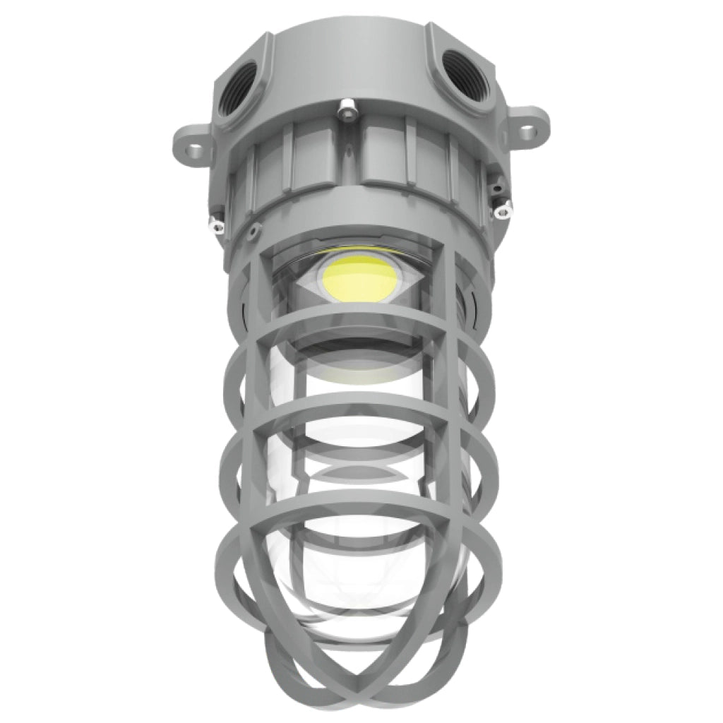 Wall Mounted Luminaire - Explosion Proof