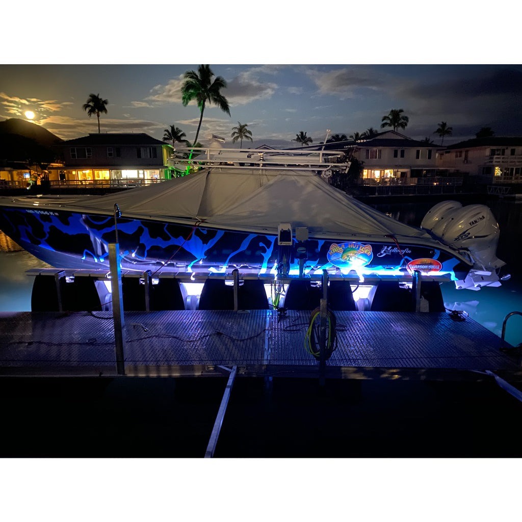 12V Cool White Waterproof Flexible Light Strip on Boat Lift Underwater