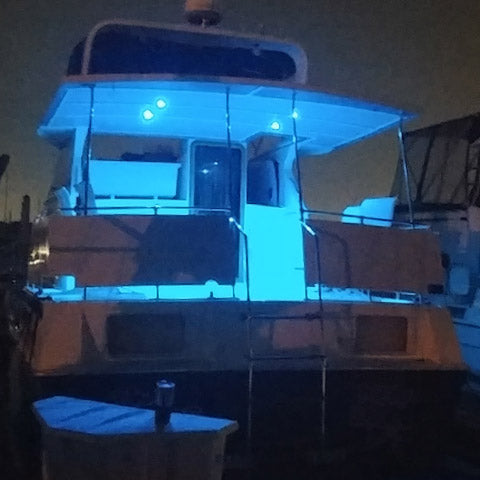 Gravity LED Courtesy Boat Light - Stainless Steel - Blue